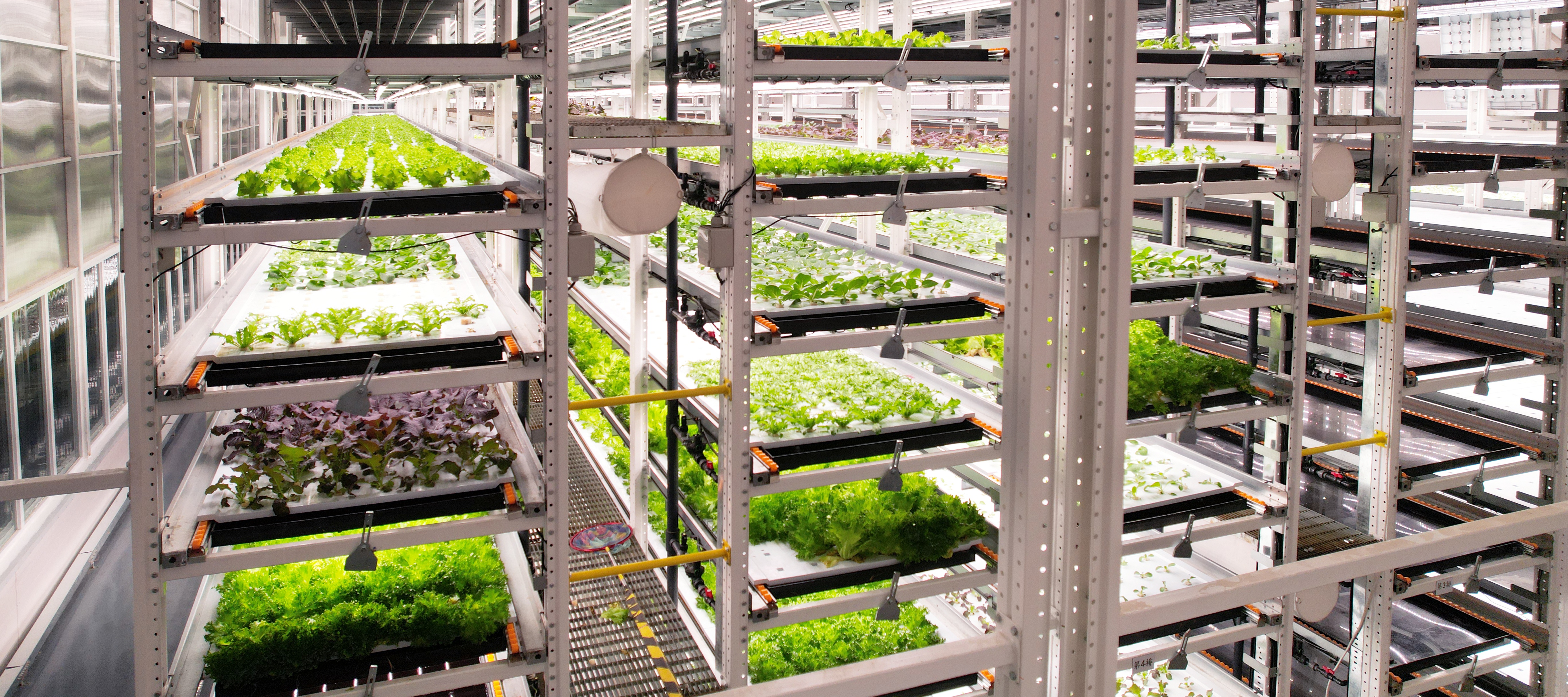 �±�ggֲ�﹤���߲�20231206 (2)_��ͼ��.JPG